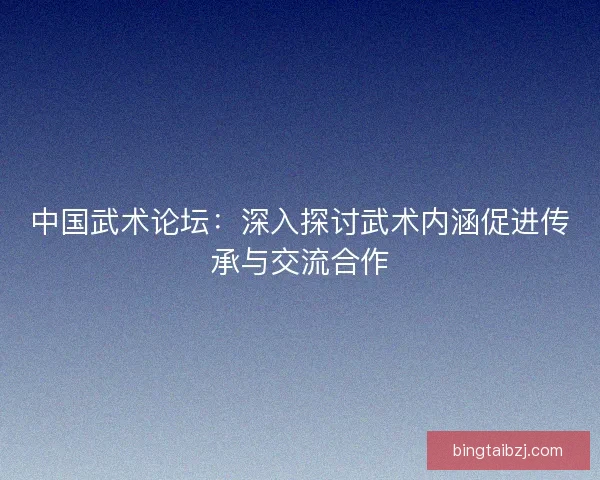 中国武术论坛:深入探讨武术内涵促进传承与交流合作 中国武术论坛:深入探讨武术内涵促进传承与交流合作